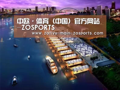 案例展示八