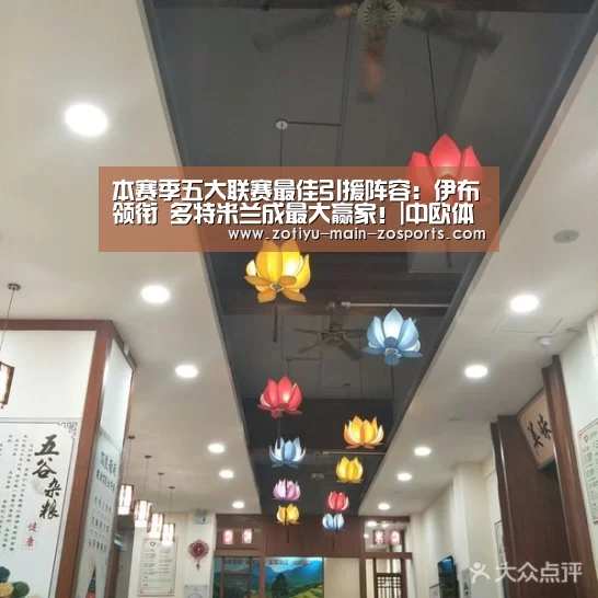 本赛季五大联赛最佳引援阵容:伊布领衔 多特米兰成最大赢家!|中欧体育官方网站下载(图2) 中欧体育app官方下载