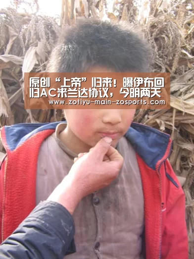 原创“上帝”归来!曝伊布回归AC米兰达协议,今明两天敲定合同细节【中欧体育官方网站下载】(图1) 中欧体育官方网站最新版